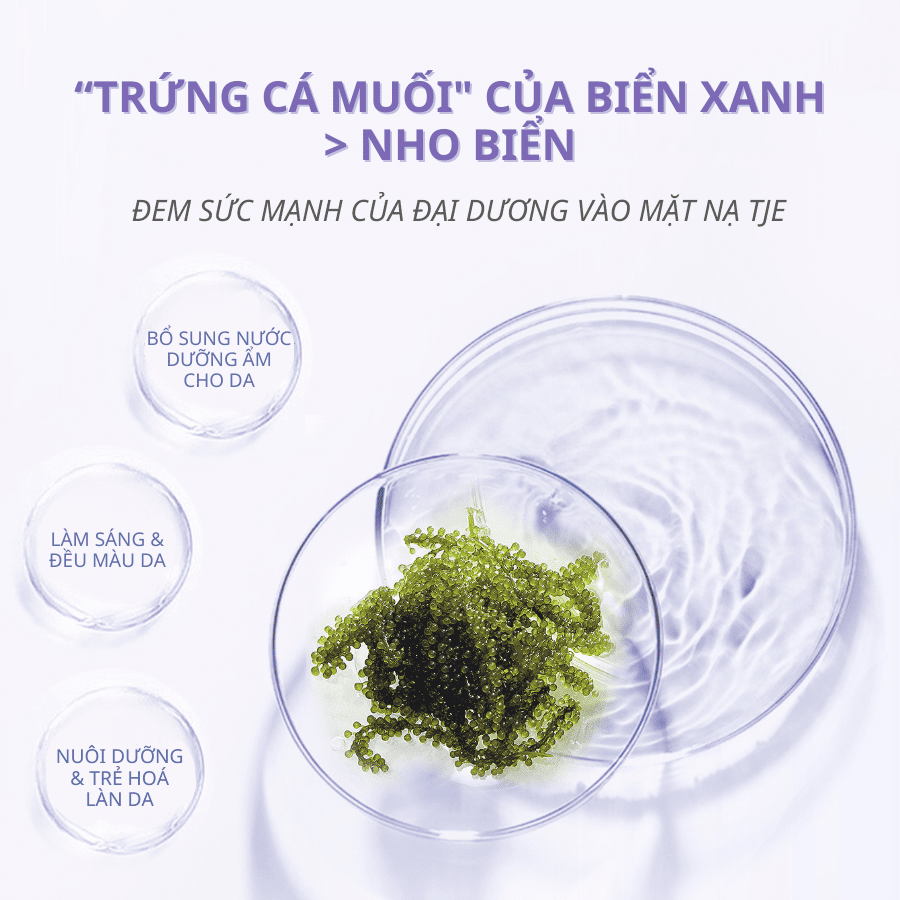 Combo 5 Mặt nạ nho biển HA cao cấp TJE – dưỡng ẩm sâu, cải thiện tình trạng lão hoá da