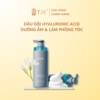 Dầu gội dưỡng ẩm chuyên sâu sâu và làm phồng tóc Hyaluronic Acid hương hoa nhài & cam ngọt iwiw